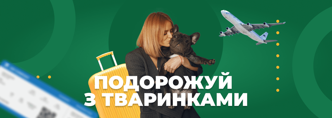 Баннер